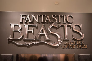 Warner Bros. Archive: Fantastic Beasts/Harry Potter Exhibit